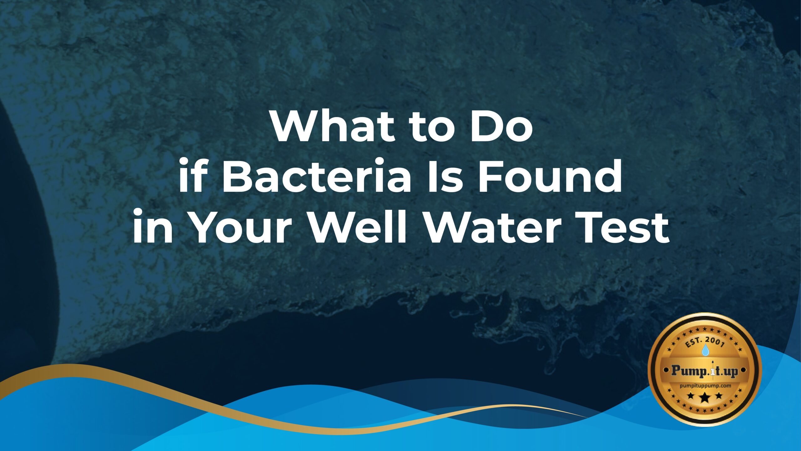 bacteria in well water test